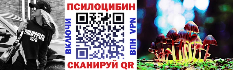 Купить  Никольск  Псилоцибиновые грибы GOLDEN TEACHER 